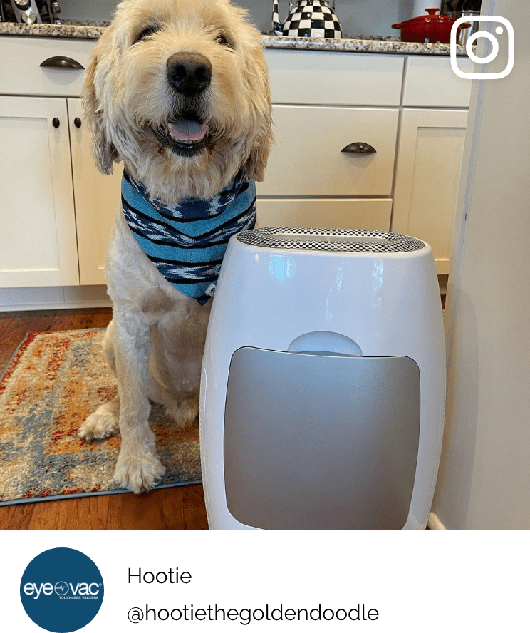 EyeVac Air 4